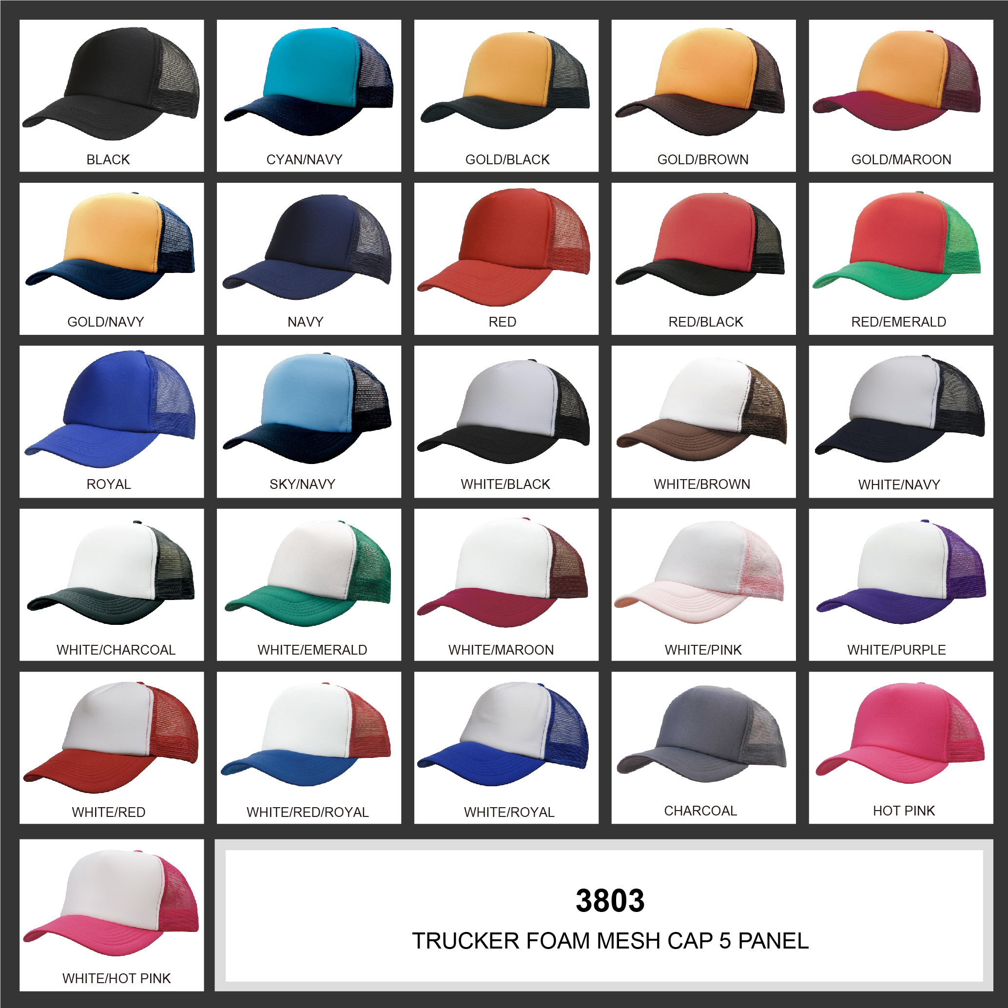 Truckers Mesh Cap Colour Chart