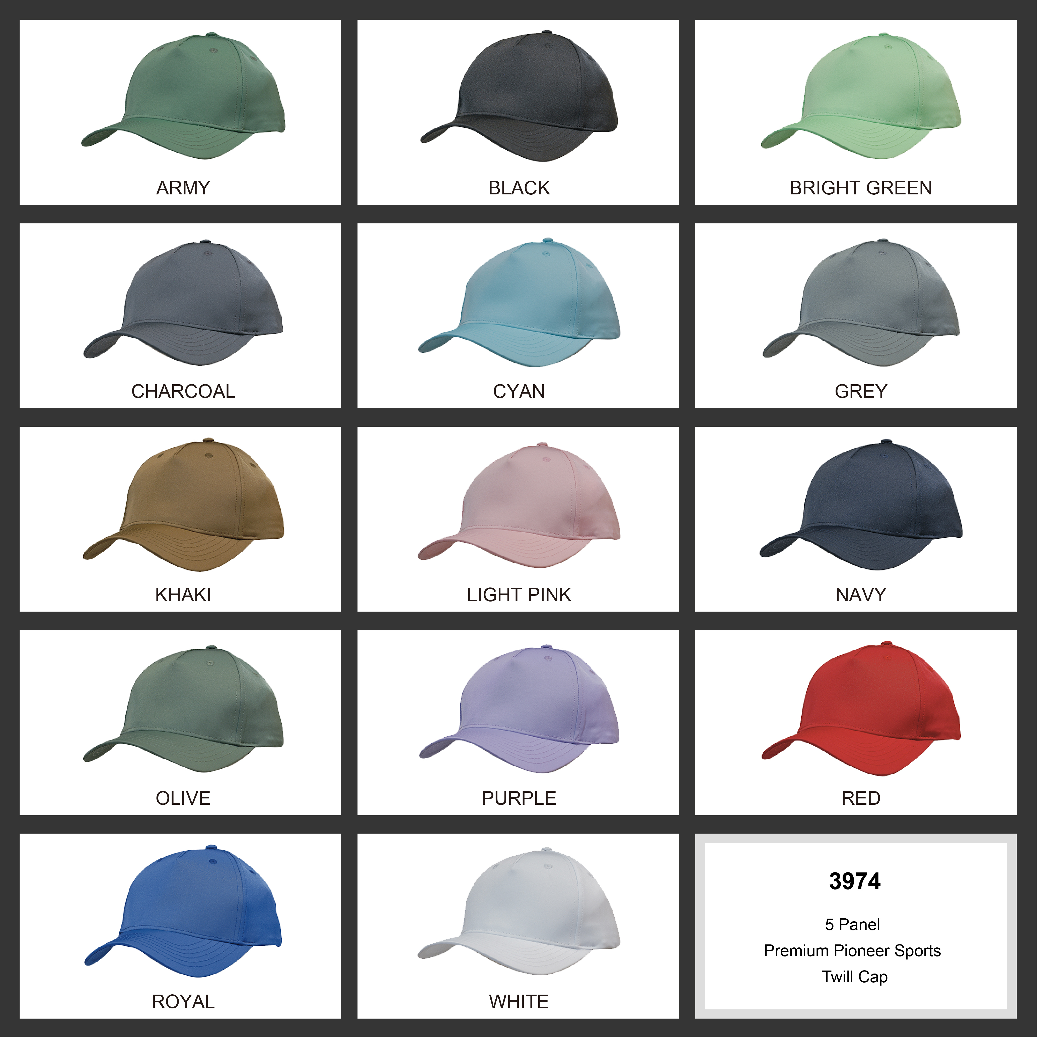 Premium Pioneer Sports Twill || 3974 Colour Chart