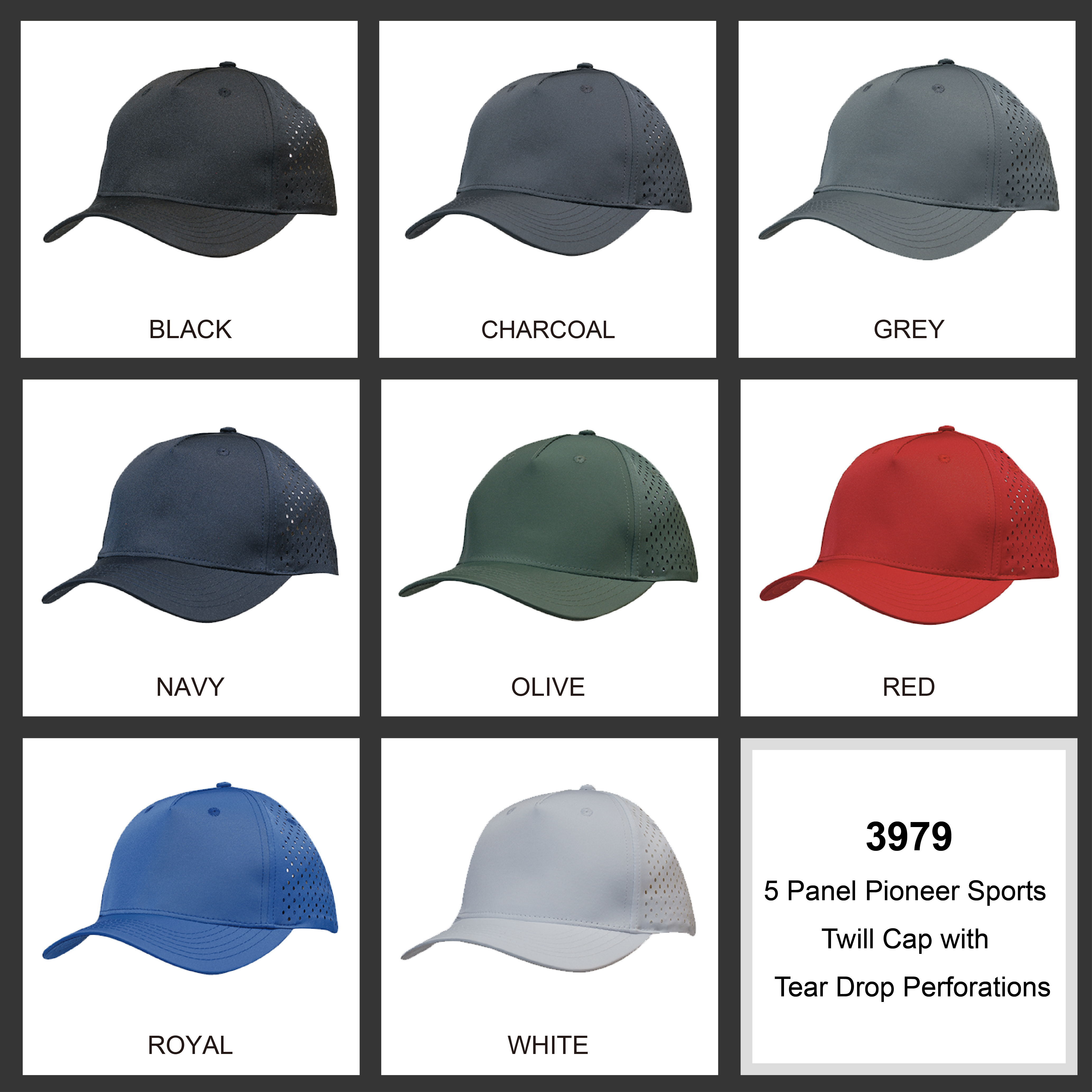 Premium Pioneer Sports Twill with tear drop perforations || 3979 Colour Chart