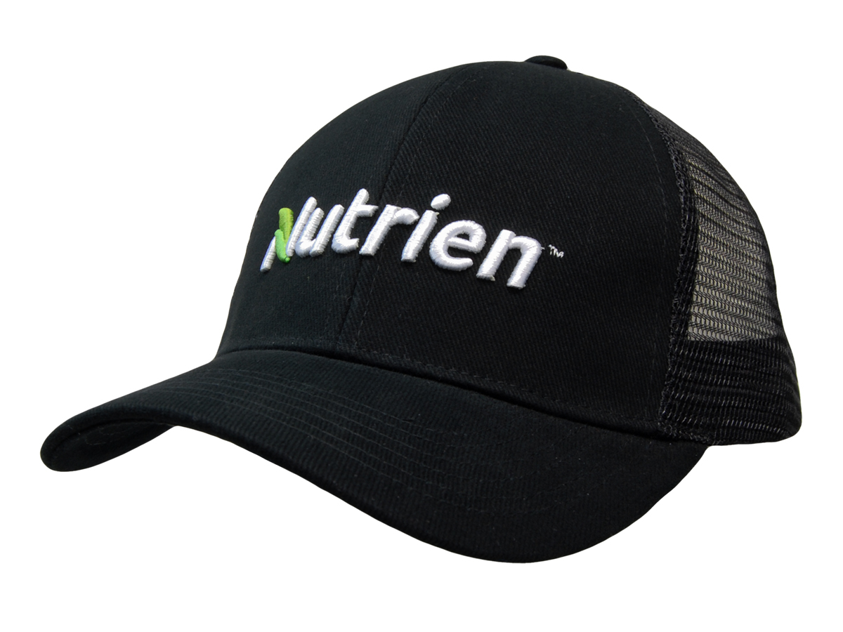 Organic brushed Heavy Cotton/Mesh Back Cap High Resolution Image