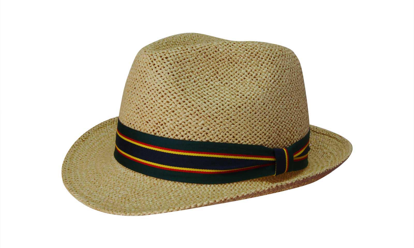 Fedora Style String Straw High Resolution Image